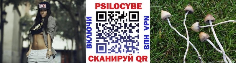Галлюциногенные грибы мицелий  Купить  Вихоревка 