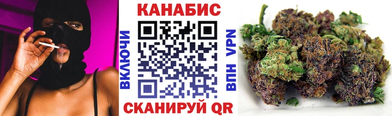 Канабис сатива Вихоревка